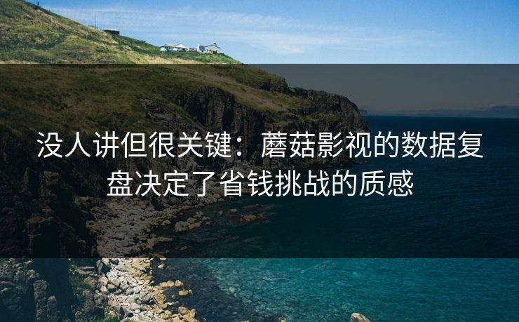 没人讲但很关键：蘑菇影视的数据复盘决定了省钱挑战的质感