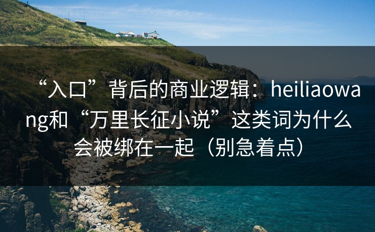 “入口”背后的商业逻辑：heiliaowang和“万里长征小说”这类词为什么会被绑在一起（别急着点）